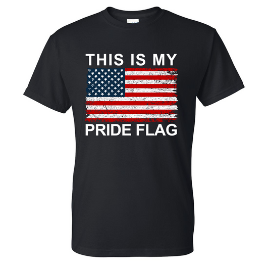 This is My Pride Flag T-Shirt DryBlend Moisture Wicking TShirt Funny Shirt Adult Tee Genx Crewneck